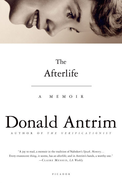 Cover of The Afterlife