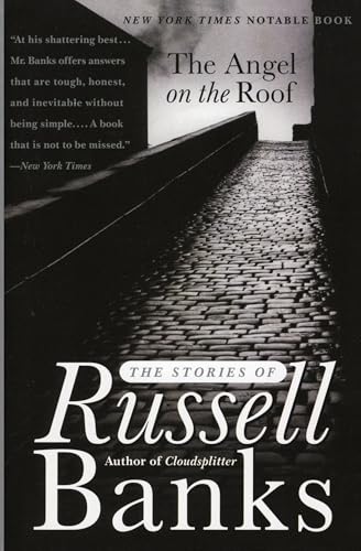 Cover of The Angel on the Roof