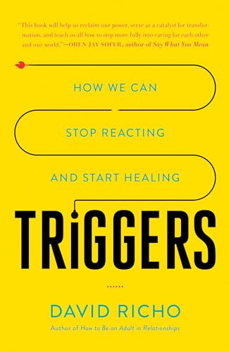 Cover of Triggers: How We Can Stop Reacting and Start Healing