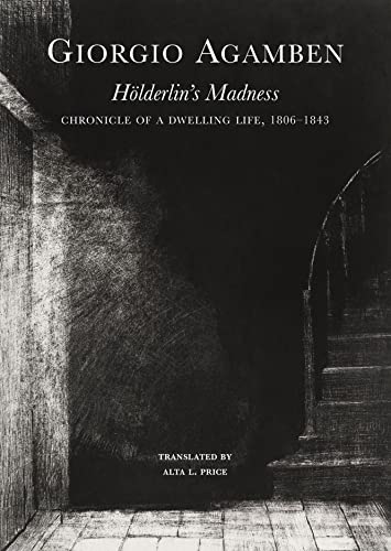 Cover of Holderlin's Madness: Chronicle of a Dwelling Life, 1806-1843