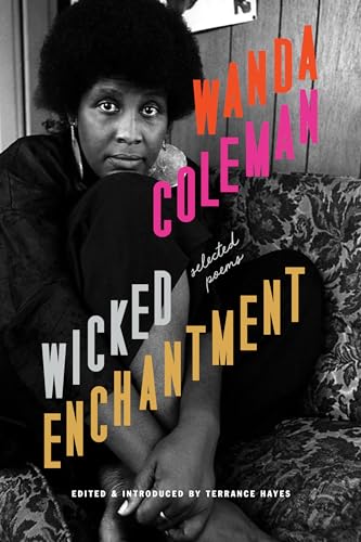 Cover of Wicked Enchantment: Selected Poems