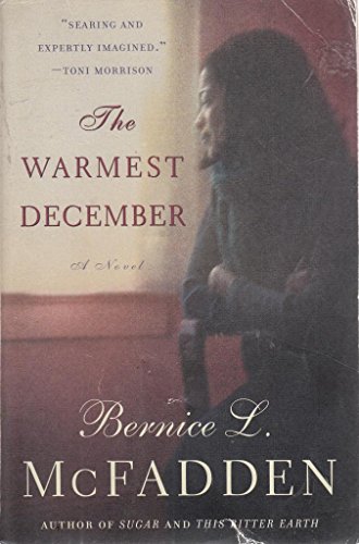 Cover of The Warmest December