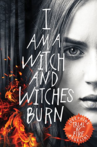 Cover of Trial by Fire