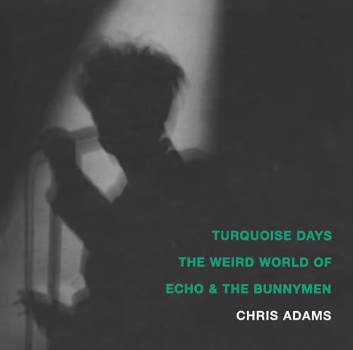 Cover of Turquoise Days: The Weird World of Echo & the Bunnymen