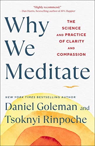 Cover of Why We Meditate: The Science and Practice of Clarity and Compassion