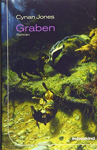 Cover of Graben