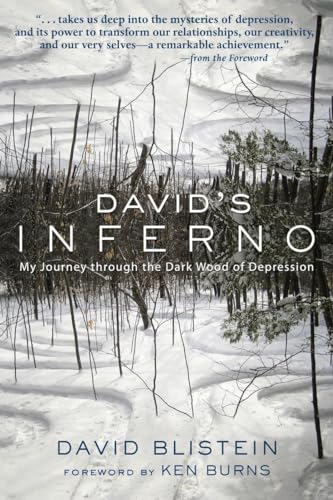 David's Inferno: My Journey through the Dark Wood of Depression