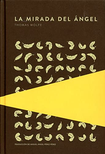 Cover of La mirada del angel