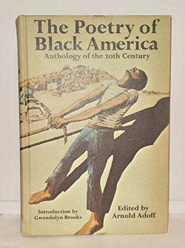 The Poetry of Black America: Anthology of the 20th Century