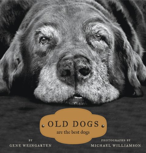 Cover of Old Dogs Are the Best Dogs