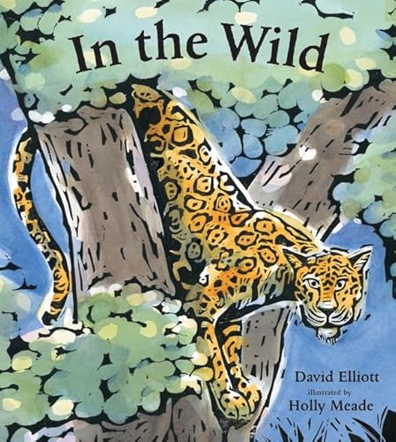 Cover of In the Wild