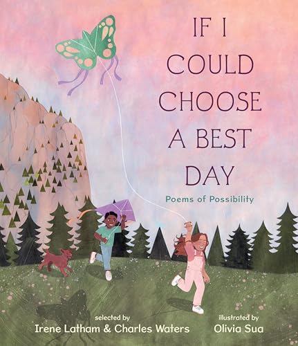 Cover of If I Could Choose a Best Day: Poems of Possibility