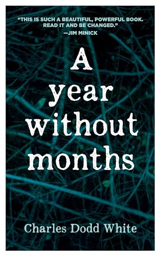 Cover of A Year without Months