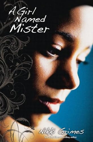 Cover of A Girl Named Mister