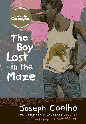 Cover of The Boy Lost in the Maze