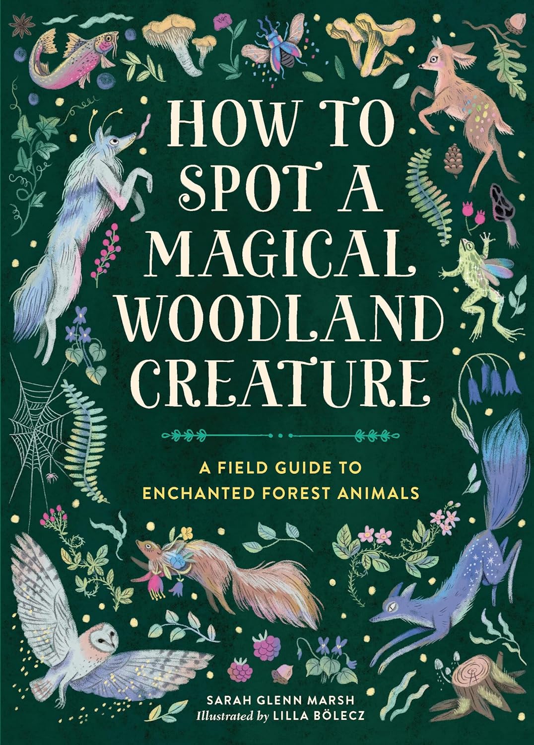 Cover of How to Spot a Magical Woodland Creature