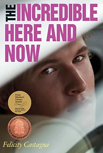 Cover of The Incredible Here and Now