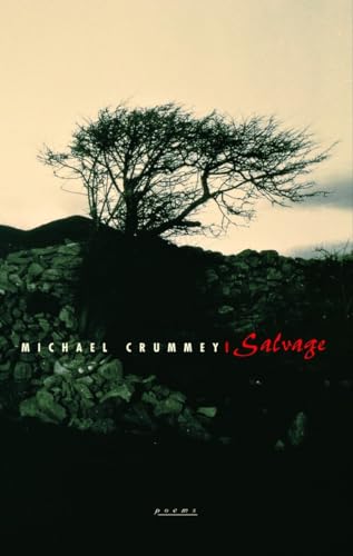 Cover of Salvage