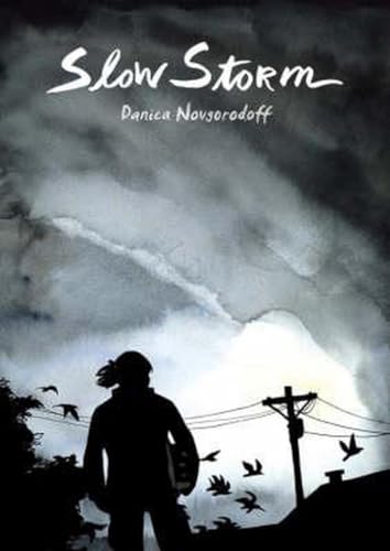 Cover of Slow Storm