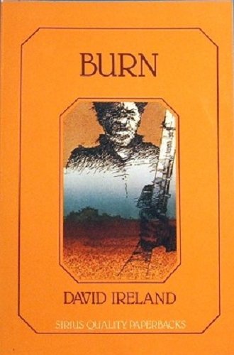 Cover of Burn