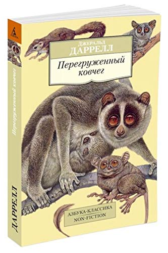 Peregruzennyj kovceg