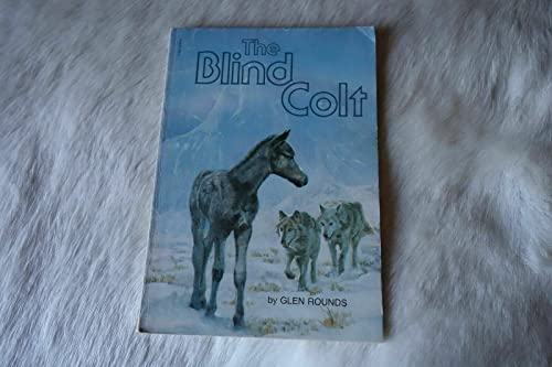The Blind Colt