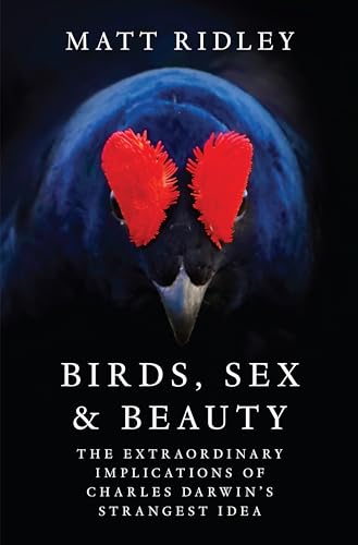 Cover of Birds, Sex and Beauty: The Extraordinary Implications of Charles Darwin's Strangest Idea
