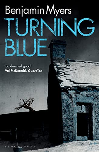 Cover of Turning Blue