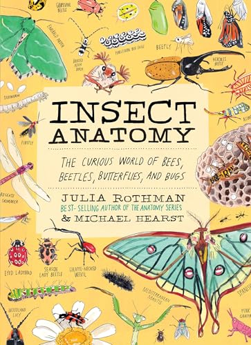 Insect Anatomy: The Curious World of Bees, Beetles, Butterflies, and Bug