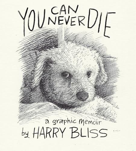 Cover of You Can Never Die
