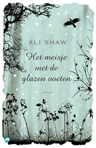 Cover of Het meisje met de glazen voeten