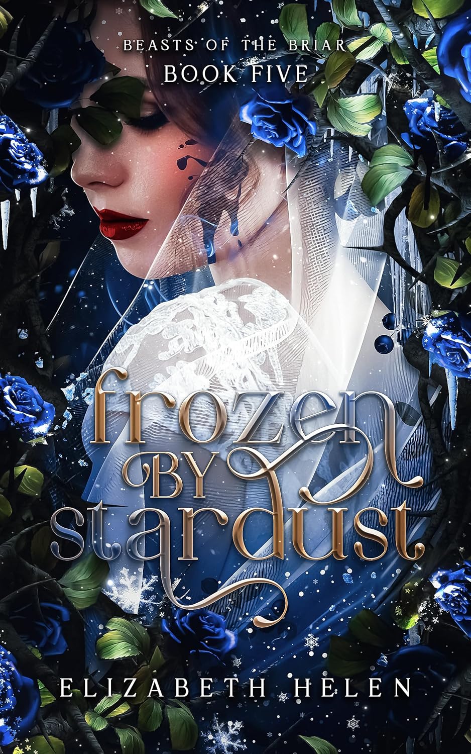 Cover of Frozen by Stardust
