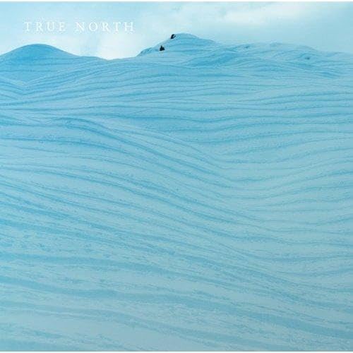 Cover of True North
