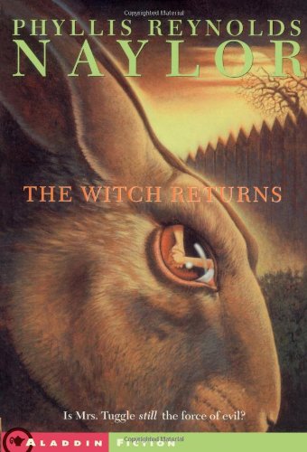 Cover of The Witch Returns
