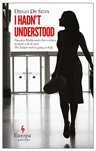 Cover of I Hadn't Understood