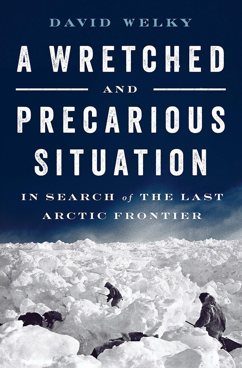 Cover of A Wretched and Precarious Situation: In Search of the Last Arctic Frontier