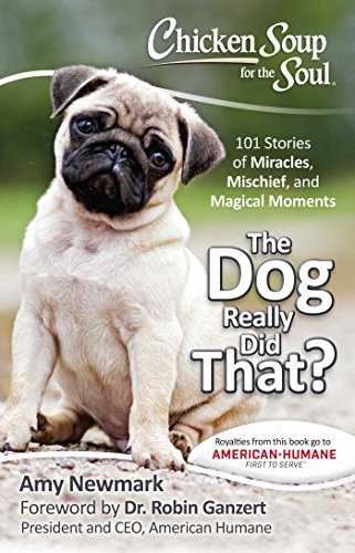Chicken Soup for the Soul: The Dog Really Did That?: 101 Stories of Miracles, Mischief and Magical Moments