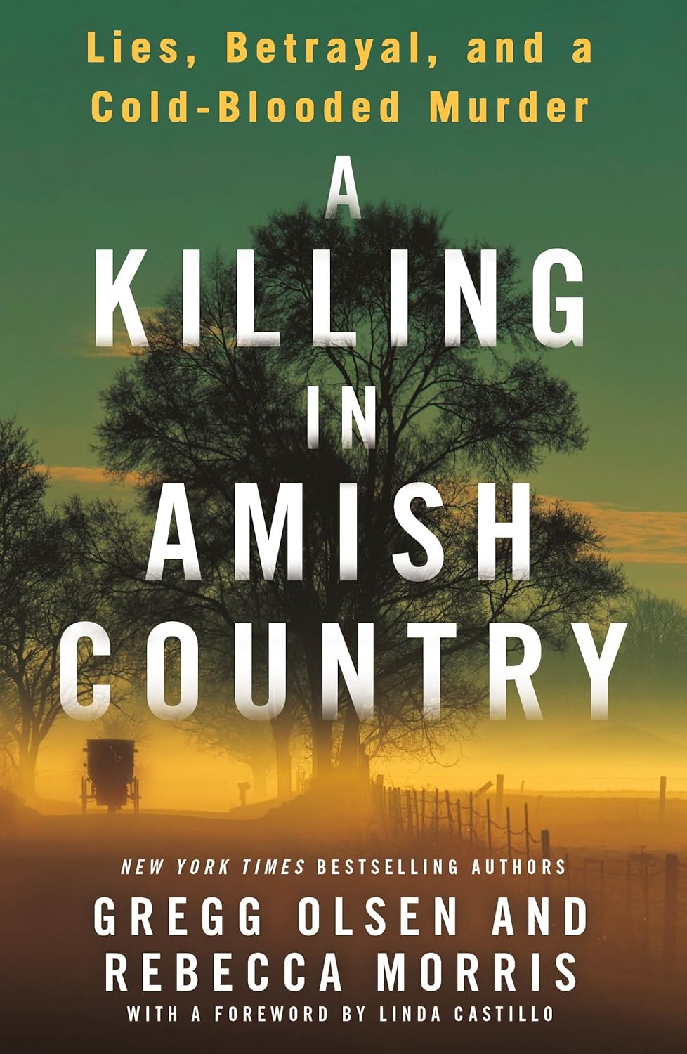 Cover of A Killing in Amish Country