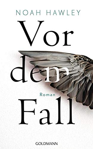 Cover of Vor dem Fall