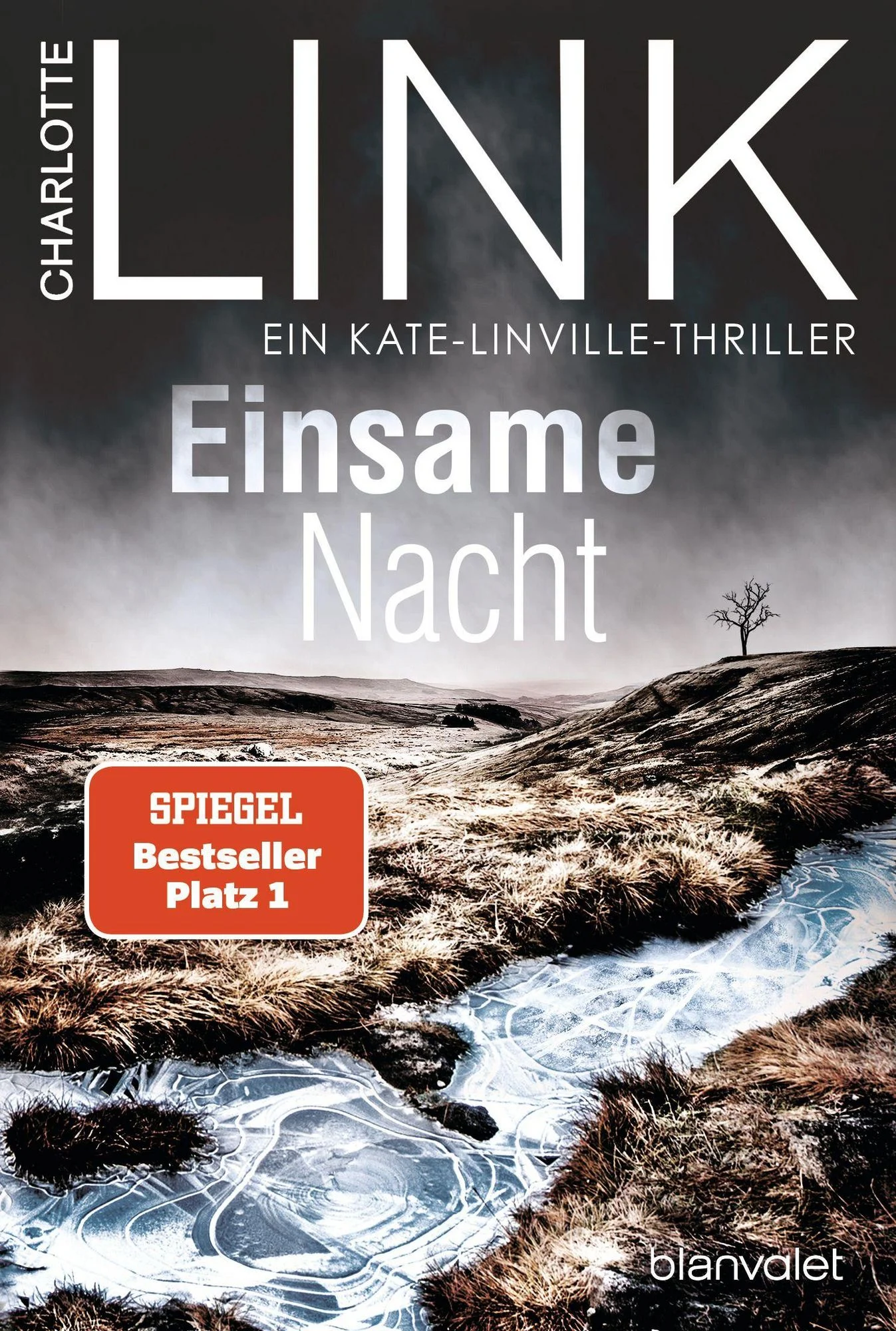 Cover of Einsame Nacht
