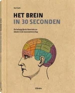 Cover of Het brein in 30 seconden