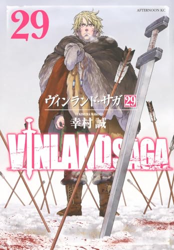 vu~inrandosaga 29