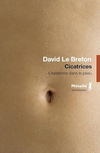 Cover of Cicatrices: L'existence dans la peau