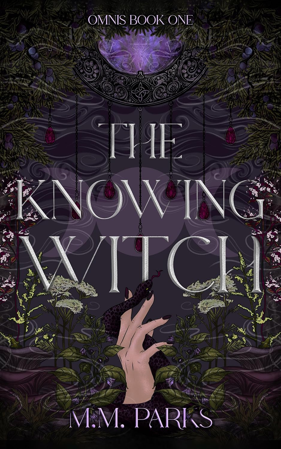 Cover of The Knowing Witch