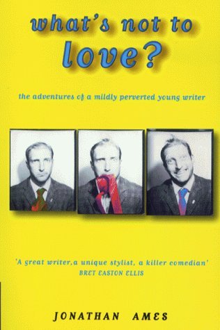 What's Not To Love?: The Adventures of a Mildly Perverted Young Writer
