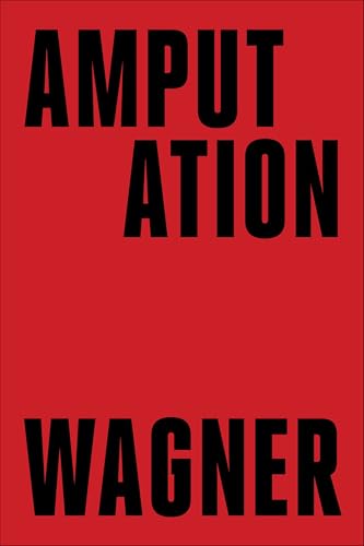 Cover of Amputation: A Novel