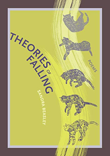 Cover of Theories of Falling