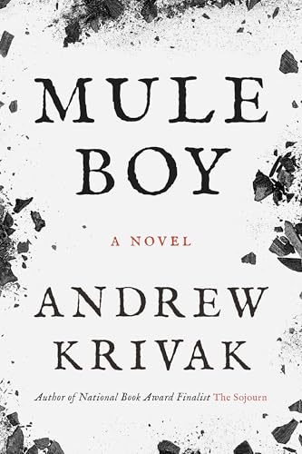 Mule Boy