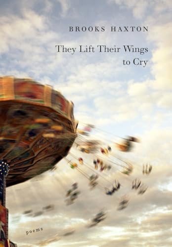 Cover of They Lift Their Wings to Cry