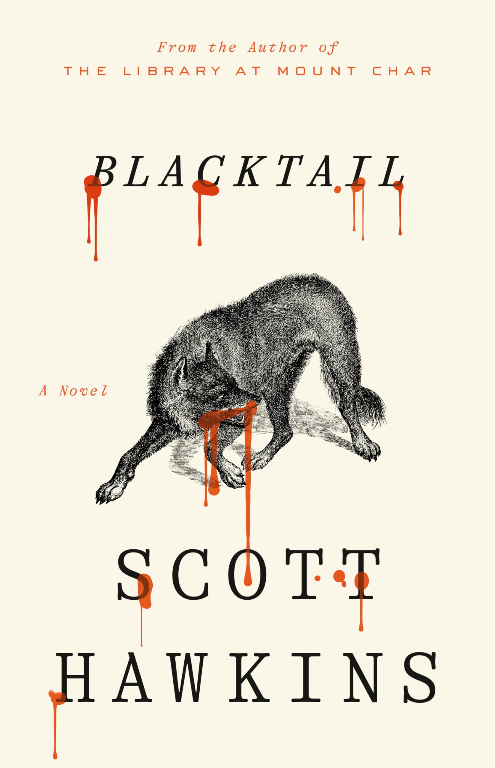 Blacktail